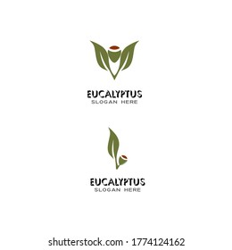 Eucalyptus leaves logo vector template design illustration