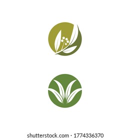 Eucalyptus Leaves Logo Vector Template Design Stock Vector (Royalty ...