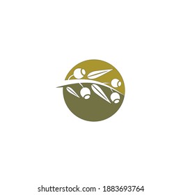 Eucalyptus leaves logo vector template design illustration