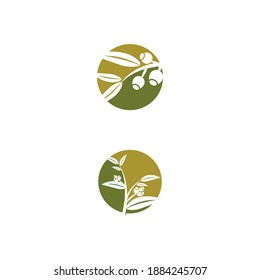 Eucalyptus lässt Logo-Vektorgrafik-Design