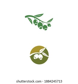 Eucalyptus leaves logo vector template design illustration