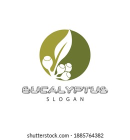 Eucalyptus leaves logo vector template design illustration