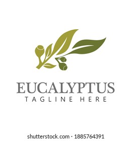 Eucalyptus leaves logo vector template design illustration