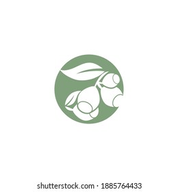 Eucalyptus leaves logo vector template design illustration