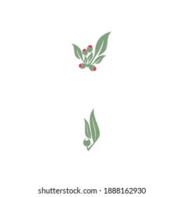 Eucalyptus leaves logo vector template design illustration