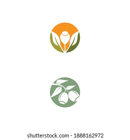 Eucalyptus leaves logo vector template design illustration