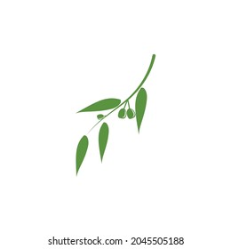 Eucalyptus leaves logo vector template design illustration