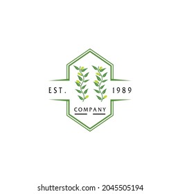 Eucalyptus leaves logo vector template design illustration