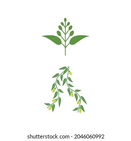 Eucalyptus leaves logo vector template design illustration