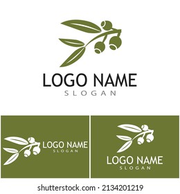 Eucalyptus leaves logo vector template design illustration