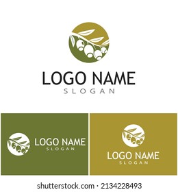 Eucalyptus leaves logo vector template design illustration
