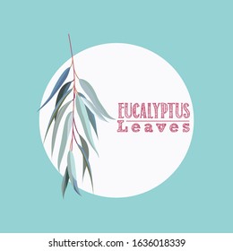 eucalyptus leaves modern flat design. vector illustration