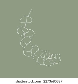 Eucalyptus Leaves on green background. Floral line art. Outline vector flowers. Wedding elegant continuous line drawing.