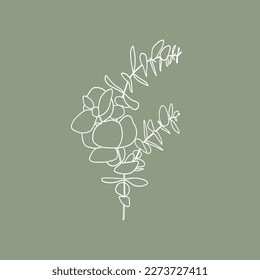 Eucalyptus Leaves on green background. Floral line art. Outline vector flowers. Wedding elegant continuous line drawing.