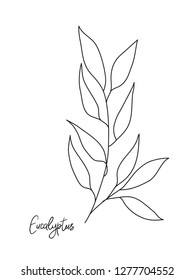 Eucalyptus leaves . One line drawing art