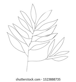 Eucalyptus leaves . One line drawing art, Minimalism art. Modern decor. - vector illustration
