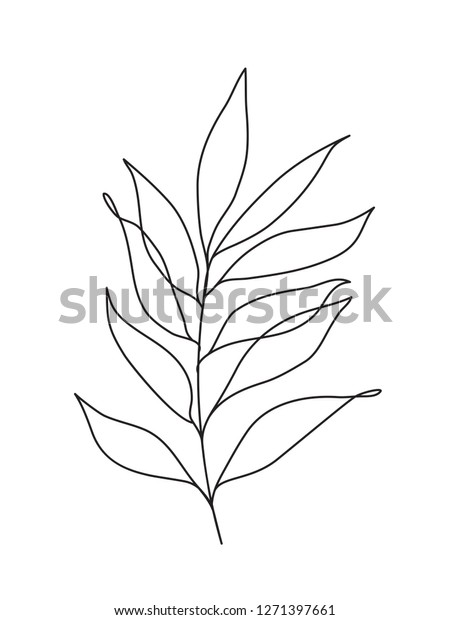 Eucalyptus leaves . One\
line drawing art