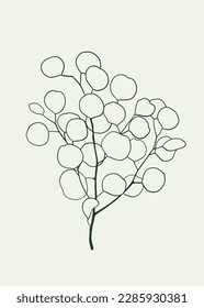 Eucalyptus leaves set isolated on white background. aesthetic Eucalyptus for home decor, posters, wall art, cards, packaging. Floral logo or icon vector illustration.  Collection of eucalyptus branch