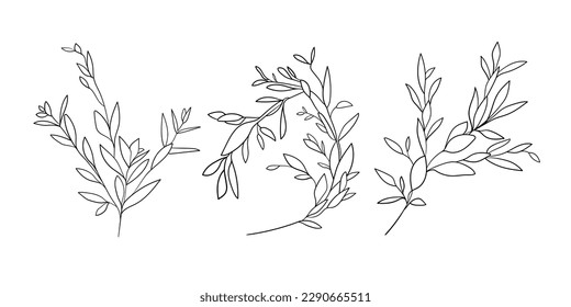 Eucalyptus leaves set in line art style isolated on white background. Minimal outline drawing. Wedding design for invitation card