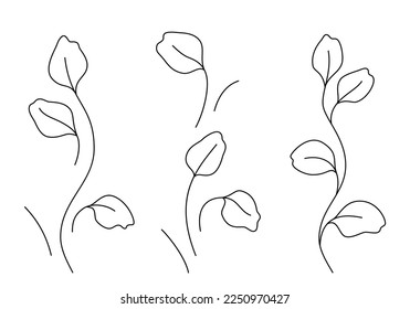 Eucalyptus leaves and stems with line art style isolated on white background. Botanical set with stylized floral elements for border, card, logo, florist shop, pattern or other. Vector illustration.