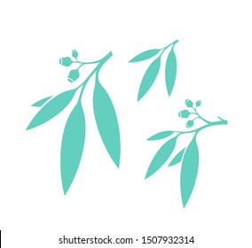 Eucalyptus leaves. Vector illustration EPS 10. Eucalyptus tree on white background. Gum tree icon