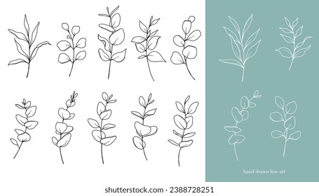 Eucalyptus Line Art. Floral Frames and Bouquets Line Art. Fine Line Eucalyptus Frames Hand Drawn Illustration. Hand Draw Outline Leaves and Flowers. Botanical Coloring Page. Eucalyptus Isolated