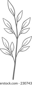 Eucalyptus line art, leaf, plant, eucalyptus, botanical, illustration, nature, design, floral, art, branch, background, foliage, set, vintage, flower, line, summer, decoration, spring, drawing, vector