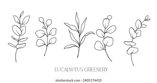 Eucalyptus Line Drawing. Black and white Floral Bouquets. Flower Coloring Page. Floral Line Art. Fine Line Eucalyptus illustration. Hand Drawn greenery. Botanical Coloring. Wedding invitation greenery