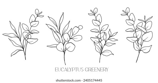 Eucalyptus Line Drawing. Black and white Floral Bouquets. Flower Coloring Page. Floral Line Art. Fine Line Eucalyptus illustration. Hand Drawn greenery. Botanical Coloring. Wedding invitation greenery