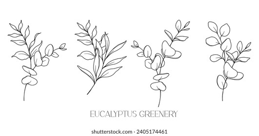 Eucalyptus Line Drawing. Black and white Floral Bouquets. Flower Coloring Page. Floral Line Art. Fine Line Eucalyptus illustration. Hand Drawn greenery. Botanical Coloring. Wedding invitation greenery