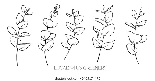 Eucalyptus Line Drawing. Black and white Floral Bouquets. Flower Coloring Page. Floral Line Art. Fine Line Eucalyptus illustration. Hand Drawn greenery. Botanical Coloring. Wedding invitation greenery