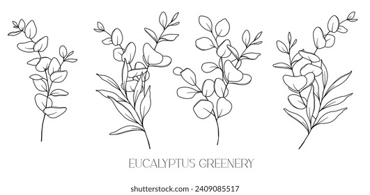Eucalyptus Line Drawing. Black and white Floral Bouquets. Flower Coloring Page. Floral Line Art. Fine Line Eucalyptus illustration. Hand Drawn greenery. Botanical Coloring. Wedding invitation greenery
