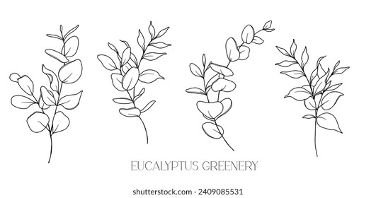 Eucalyptus Line Drawing. Black and white Floral Bouquets. Flower Coloring Page. Floral Line Art. Fine Line Eucalyptus illustration. Hand Drawn greenery. Botanical Coloring. Wedding invitation greenery