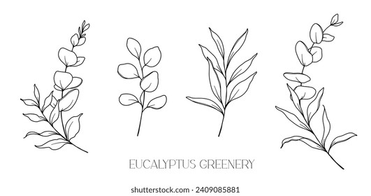 Eucalyptus Line Drawing. Black and white Floral Bouquets. Flower Coloring Page. Floral Line Art. Fine Line Eucalyptus illustration. Hand Drawn greenery. Botanical Coloring. Wedding invitation greenery