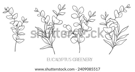 Eucalyptus Line Drawing. Black and white Floral Bouquets. Flower Coloring Page. Floral Line Art. Fine Line Eucalyptus illustration. Hand Drawn greenery. Botanical Coloring. Wedding invitation greenery