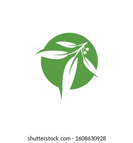 Eucalyptus Logo For Herbal Medicine Icon 