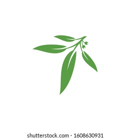 Eucalyptus Logo For Herbal Medicine Icon 