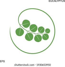 Eucalyptus logo. Isolated eucalyptus on white background