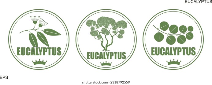 Eucalyptus logo. Isolated eucalyptus on white background