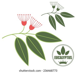 Eucalyptus logo. Isolated eucalyptus on white background