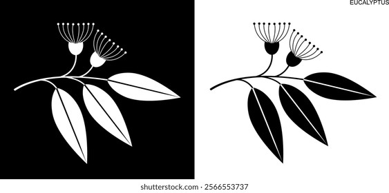 Eucalyptus logo. Isolated eucalyptus on white background