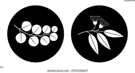 Eucalyptus logo. Isolated eucalyptus on white background