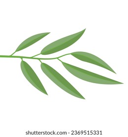 Eucalyptus oil leaf icon,vector illustration logo design