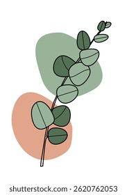 Eucalyptus plant leaves minimalist design on pastel background with copy space