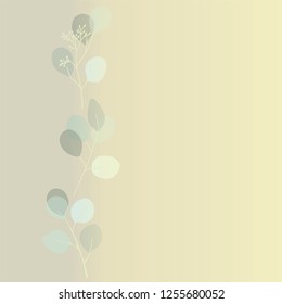 Eucalyptus Populus.Isolated branches of eucalyptus. Blooming eucalyptus. Floristic plants. Tender leaves. Elegant leaves in vector.