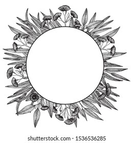 Eucalyptus. Round frame with leaves and flowers. Hand drawn vector illustration in sketch style.