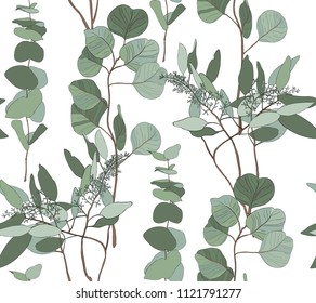 Eucalyptus seeded, silver dollar, baby blue tree leaves art designer, foliage, elements in rustic style seamless pattern. Vector nature decorative various elegant illustration for design.
