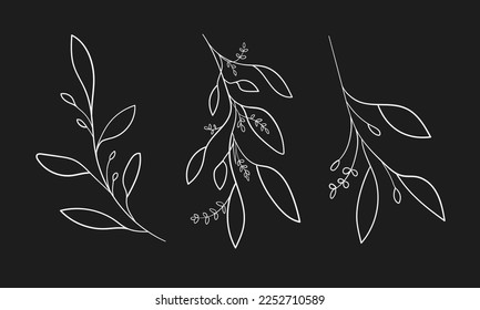 Eucalyptus set line art on black background. Eucalyptus leaves outline. Floral vector illustration