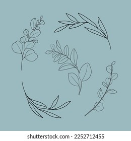 Eucalyptus set line art on blue background. Eucalyptus leaves outline. Floral vector illustration