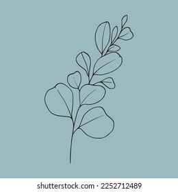 Eucalyptus set line art on blue background. Eucalyptus leaves outline. Floral vector illustration